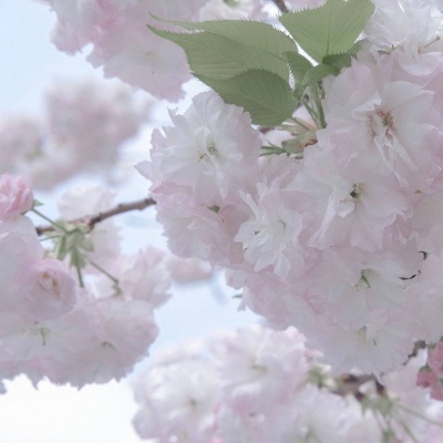 汝州FurryQQ群介绍